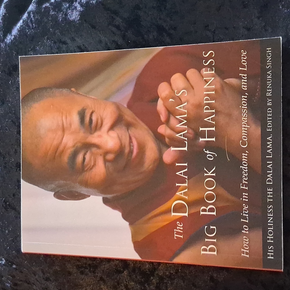 The Dalai Lama's Big Book of Happiness   Would Make A Great Gift!🎁